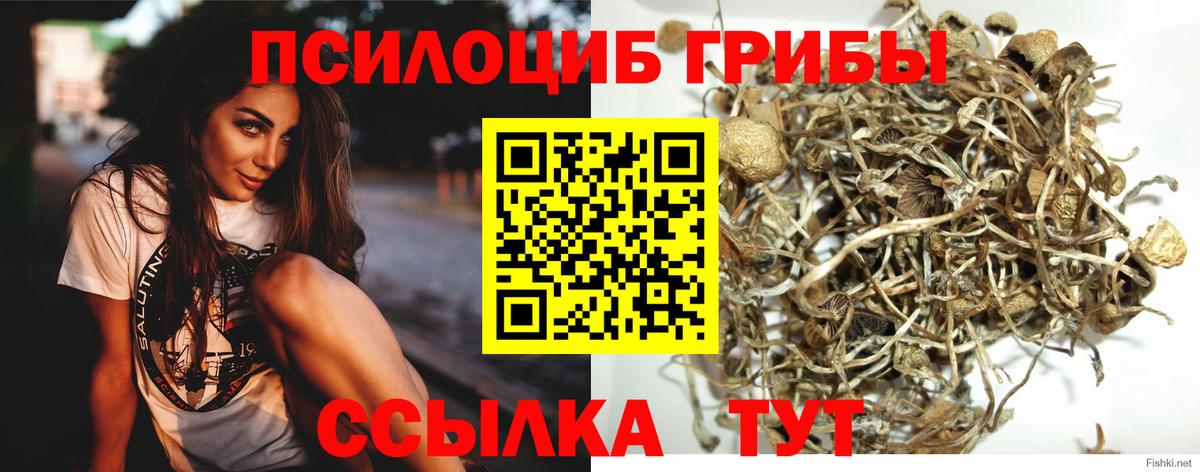 Галлюциногенные грибы Psilocybine cubensis  Вход с VPN  Ялта  Галлюциногенные грибы Magic Shrooms 