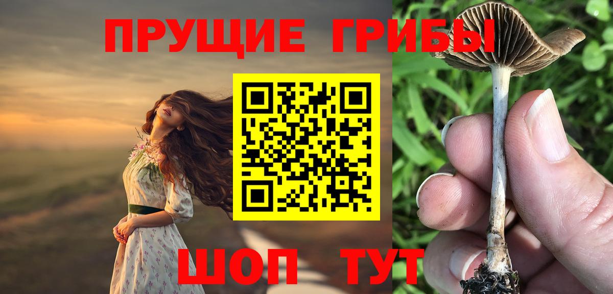 Галлюциногенные грибы Psilocybine cubensis Ялта